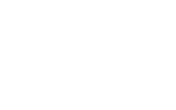 OVERLANDING